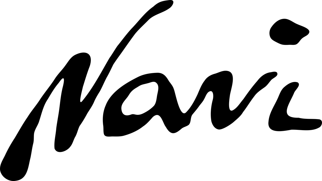 NAVI NYC INC